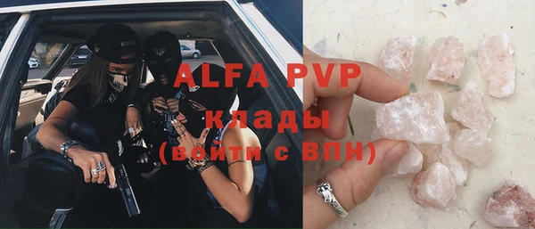 индика Алексин