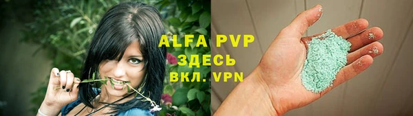 индика Алексин