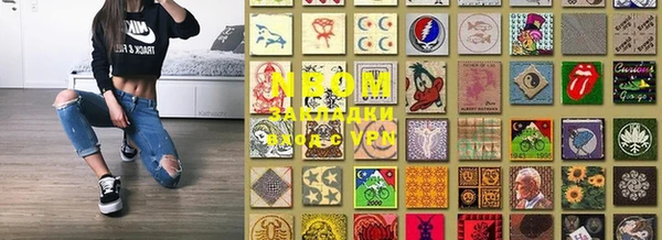 индика Алексин