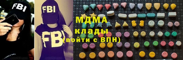 индика Алексин