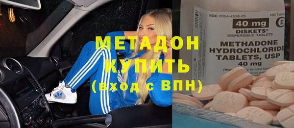 индика Алексин