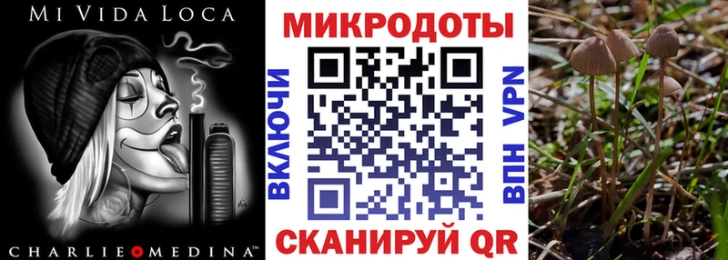 Псилоцибиновые грибы ЛСД  сайты даркнета клад  Ковров  купить наркотик 
